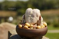 Курница керамическая (25 см)